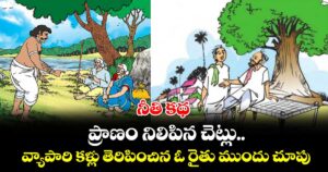 నీతి కథ : ప్రాణం నిలిపిన చెట్లు.. వ్యాపారి కళ్లు తెరిపించిన ఓ రైతు ముందు చూపు..