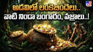 అడవిలో లంకెబిందెలు.. వాటి నిండా బంగారం, వజ్రాలు..