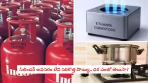 Ethanol Stove: రంగంలోకి సరికొత్త ‘ఎథనాల్ స్టౌ’.. గడ్కరీ ఆవిష్కరించిన ఈ టెక్నాలజీతో మీ డబ్బులు ఆదా అవ్వడం ఖాయం!