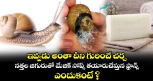 ఇప్పుడు అంతా దీని గురించే చర్చ.. నత్తల జిగురుతో మేజిక్ సోప్స్ తయారుచేస్తున ఫ్రాన్స్.. ఎందుకంటే ?