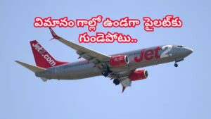 30,000అడుగుల ఎత్తులో విమానం.. గాల్లో ఉండగానే పైలట్‌కు గుండెపోటు.. ప్రయాణికుల పరిస్థితి ఎలా ఉందంటే..