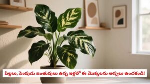 Plants Safety: చూడటానికి అందంగా ఉన్నాయని ఈ మొక్కలను ఇంట్లో పెంచుకుంటున్నారా? అయితే మీ ప్రాణాలకే ప్రమాదం!