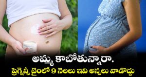 Women Special:  అమ్మ కాబోతున్నారా.. ప్రెగ్నెన్సీ టైంలో 9 నెలలు ఇవి అస్సలు వాడొద్దు..