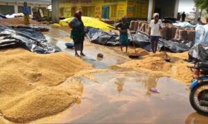 Rain Effect : అకాల వర్షం.. రైతులు ఆగమాగం..