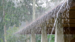 Southwest Monsoon: నైరుతి రుతుపవనాలు వచ్చేస్తున్నాయి.. రాబోయే మూడ్రోజుల్లో.. వాతావరణశాఖ కీలక అప్డేట్.