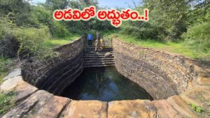 అభయారణ్యంలో అపురూప కట్టడం! బయటపడ్డ శంకువు ఆకారపు బావి.. అసలు రహస్యం ఇదే!