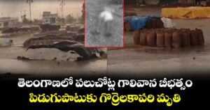 తెలంగాణలో పలుచోట్ల గాలివాన బీభత్సం.. పిడుగుపాటుకు గొర్రెలకాపరి మృతి 