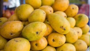 Mangoes: మామిడి పండ్లు వీరికి విషంతో సమానం.. మరిచి తిన్నారో మీ బాడీలో జరిగేది ఇదే!
