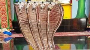 శ్రీశైలం మల్లన్నకు 2.610 కేజీల వెండి నాగాభరణం విరాళం..