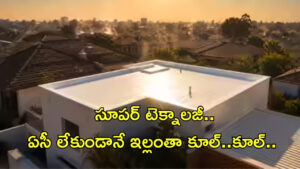 ఎండలు మండిపోయినా పర్లేదు.. సూపర్‌ టెక్నాలజీ వచ్చేసింది! ఏసీ లేకుండానే ఇల్లంతా కూల్‌..కూల్‌..