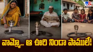 వామ్మో… ఆ ఊరి నిండా పాములే! ప్రపంచాన్ని ఆశ్చర్యపరుస్తున్న గ్రామం