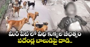 మీర్ పేట్ లో వీధి కుక్కల బీభత్సం... పదేండ్ల బాలుడిపై దాడి..