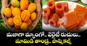 Summer taste:  మజాగా మ్యాంగో .. వెరైటీ  రుచులు.. మామిడి తాండ్ర..పాప్సికల్స్