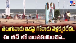 తెలుగువారు ఇకపై గోవాకు వెళ్లక్కరలేదు.. ఈ బీచ్ లో అంతకుమించిన