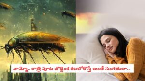 Spiritual Meaning: కలల్లో బొద్దింకలు కనిపిస్తున్నాయా?.. మీ జీవితంలో జరగబోయే ఆ మార్పుకు ఇది పెద్ద సంకేతం!