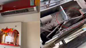 Video: ఏసీ కూలింగ్ ఎక్కట్లేదని టెక్నిషియన్‌ను పిలిపించారు.. దాన్ని ఓపెన్ చేయగా బిత్తరపోయారు..