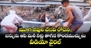 మూగ జీవుల వేసవి రోదన.. బస్సును ఆపి మరీ నీళ్లు తాగిన కొండముచ్చులు.. వీడియో వైరల్