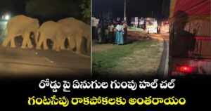 రోడ్డు పై ఏనుగుల గుంపు హల్ చల్ .. గంటసేపు రాకపోకలకు అంతరాయం