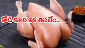 Chicken Price Today: కొండెక్కిన కోడి కూర.. ఈ రోజు కిలో ధర ఎంతంటే?