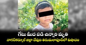 గేటు మీద పడి చిన్నారి మృతి.. నాగర్‌‌‌‌కర్నూల్‌‌‌‌ జిల్లా దేవుని తిరుమలాపూర్‌‌‌‌లో విషాదం