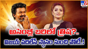 Trisha: అసెంబ్లీ బరిలో త్రిష ?? విజయ్ వదిలేసే స్థానం నుంచి పోటీ..!