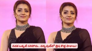 43 ఏళ్ల వయసులోనూ డబుల్ ఎనర్జీ.. చెన్నై చిన్నది త్రిష ఫిట్‌నెస్ సీక్రెట్ ఇదే