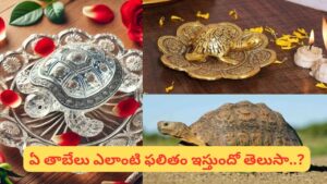 Vastu Tips: ఇంట్లో తాబేలు ప్రతిమ ఉంచితే నిజంగా అదృష్టం మారుతుందా? సరైన దిశ ఏది?
