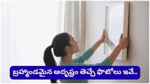 Vastu Tips: ఇంట్లో ఈ ఫోటోలు పెట్టుకుంటే అదృష్టం, ఐశ్వర్యం మీ సొంతం..!