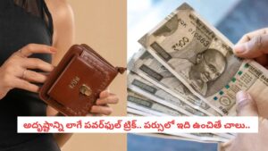Vastu Remedies:మీ పర్స్ ఎప్పుడూ డబ్బుతో కళకళలాడాలంటే.. అందులో ఈ చిన్న వస్తువును ఉంచి చూడండి!