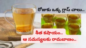 ఇది కషాయం కాదు.. అమృతం.. 30 రోజులు తాగితే శరీరంలో జరిగే మార్పులివే..