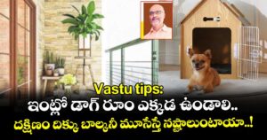 Vastu tips:  ఇంట్లో డాగ్ రూం ఎక్కడ ఉండాలి.. దక్షిణం దిక్కు బాల్కనీ మూసేస్తే నష్టాలుంటాయా..!