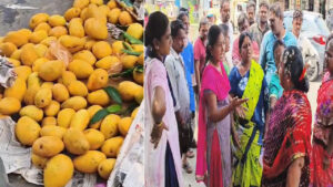 ఇంత దౌర్జన్యమా..? మహిళా రైతుపై తోపుడుబండ్ల వ్యాపారుల దాడి.. మామిడి పండ్లు రోడ్డుపాలు!