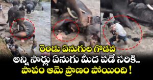 రెండు ఏనుగుల గొడవ.. అన్ని సార్లు ఏనుగు మీద పడే సరికి.. పాపం ఆమె ప్రాణం పోయింది !