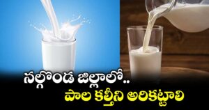 నల్గొండ జిల్లాలో పాల కల్తీని అరికట్టాలి :  కలెక్టర్ ఏ. భాస్కర రావు