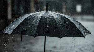 Black Umbrella Benefits: ఎక్కువగా నల్ల గొడుగే ఎందుకు కొంటారు.? అసలు సీక్రెట్ ఇదే.!