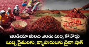 ఇండియా నుంచి ఎండు మిర్చి కొనొద్దు.. మిర్చి రైతులకు, వ్యాపారులకు చైనా షాక్