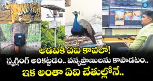 అడవికి ఏఐ కాపలా! స్మగ్లింగ్ అరికట్టడం.. వన్యప్రాణులను కాపాడటం.. ఇక అంతా ఏఐ చేతుల్లోనే..