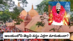 కామాఖ్య ఆలయం 4 రోజులు ఎందుకు మూసేస్తారు? అంబుబాచి జాతర  వెనుక అసలు కారణం ఇదే!