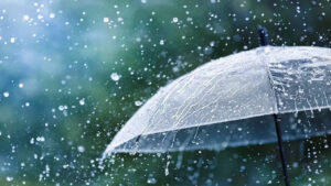 Andhra Weather: ఏపీలో సోమవారం వాతావరణం ఎలా ఉండనుందంటే..?