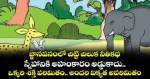 జ్ఞానవనంలో చిట్టి చిలుక నీతికథ: స్నేహానికి అహంకారం అడ్డుకాదు..ఒక్కరి శక్తి పరిమితం.. అందరి ఐక్యత అపరిమితం