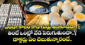 ఎండా కాలం కోడి గుడ్లు తినకూడదా..? తింటే ఒంట్లో వేడి పెరుగుతుందా..? డాక్టర్లు ఏం చెబుతున్నారంటే..