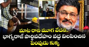 Bhagyaraj Pet Dog: మాట రాని మూగ వేదన.. భాగ్యరాజ్ పార్థివదేహం వద్ద విలపించిన పెంపుడు కుక్క