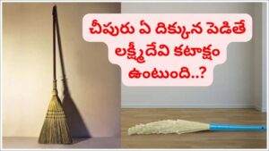 Vastu Tips: చీపురు ఈ దిక్కున పెడితే ఇంట్లో ఐశ్వర్యం.. ఈ తప్పులు చేశారో శని తాండవమే..