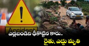 ఎడ్లబండిని ఢీకొట్టిన కారు.. రైతు, ఎద్దు మృతి