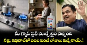 మీ గ్యాస్ స్టవ్ మార్చే టైం వచ్చింది.. నీళ్లు, ఇథనాల్ తో వంట వండే రోజులు వచ్చేశాయ్..!