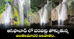 ఆసిఫాబాద్ లో  పరవళ్లు తొక్కుతున్న చింతలమాదర జలపాతం..