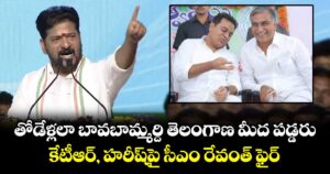తోడేళ్లలా బావబామ్మర్ది తెలంగాణ మీద పడ్డరు: కేటీఆర్, హరీష్‎పై సీఎం రేవంత్ ఫైర్