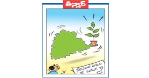నేటి నుండి మొక్కల పండగ