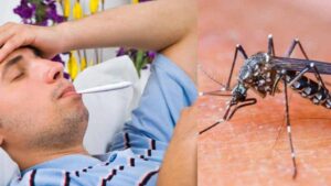 Health Tips : దోమల సీజన్.. కుటుంబం తప్పక తెలుసుకోవాల్సిందిదే..!