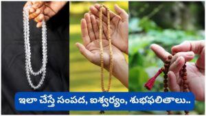 ఏ దేవుడికి ఏ మాలతో జపం చేయాలి? రుద్రాక్ష, తులసి, స్ఫటిక మాలల విశేష ఫలితాలు తెలుసుకోండి!